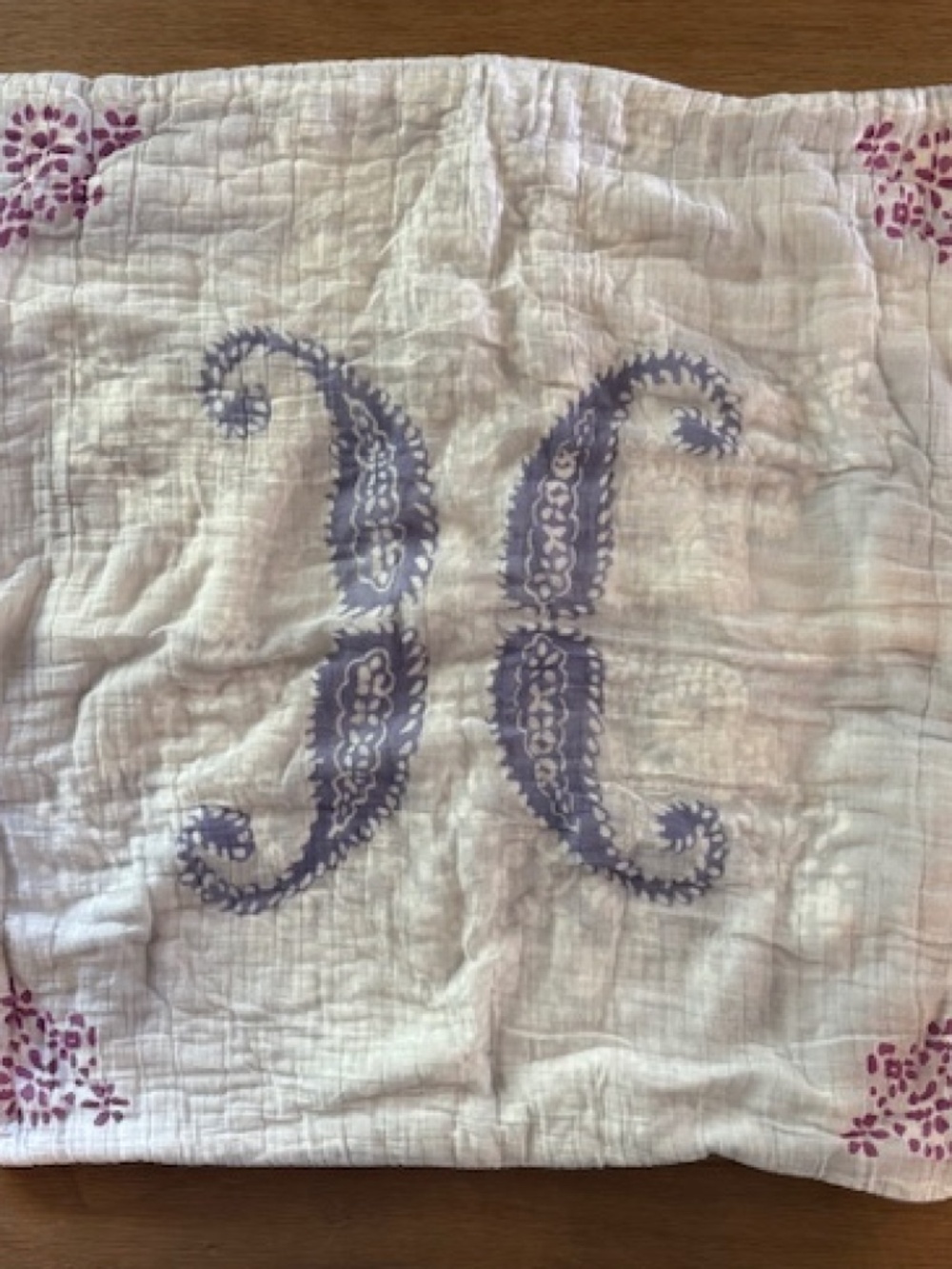 Anthropologie Pillow cover 25 x 25